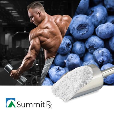 Whey Protein Isolate Natural Blueberry flavor